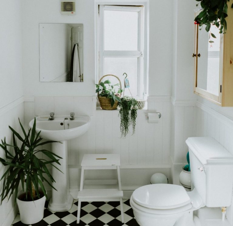 Squeaky clean white bathroom with decorative plants and black and white tiled floor.